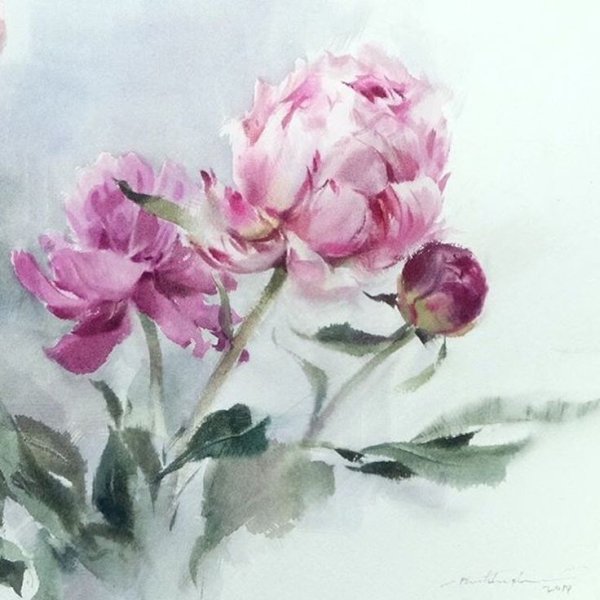 Художник Андриака пионы акварелью
