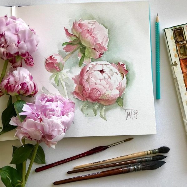 Пион акварелью Cathy Hillegas