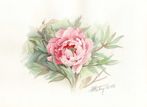 Акварель Anne-Marie Party-Bluteau