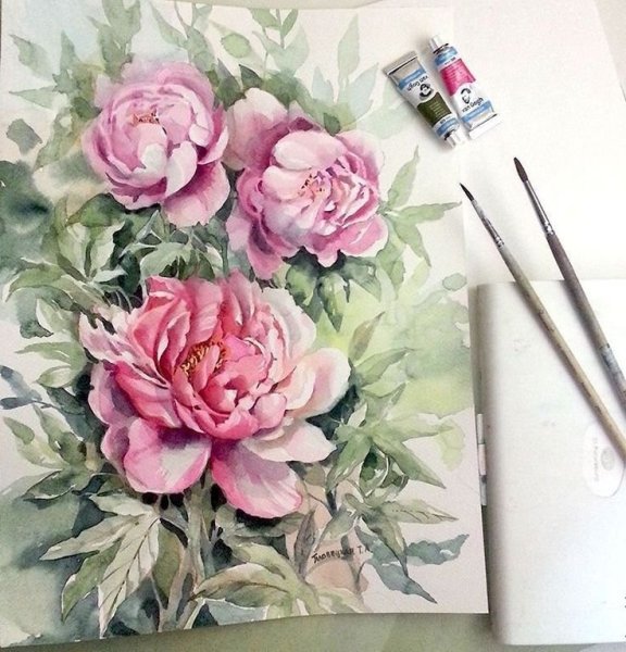 Акварель Тюлькина пионы