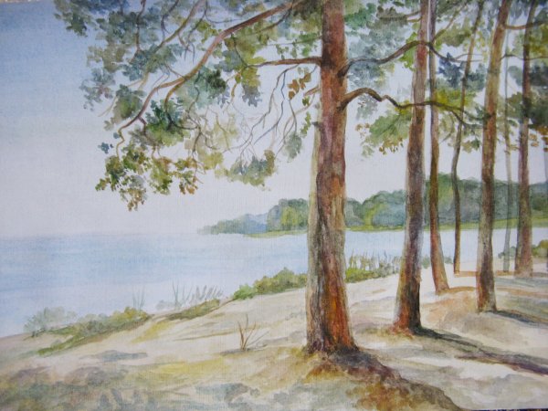 Сосновый Бор акварель