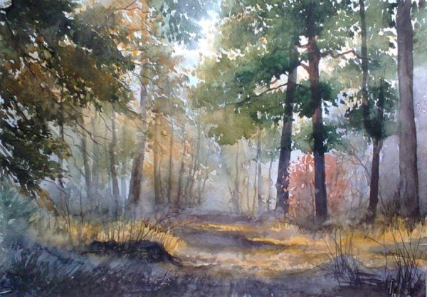 Екатерина Иванова Лесные пейзажи акварелью
