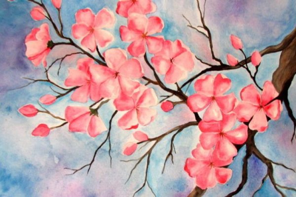 Ветка Сакуры для рисования