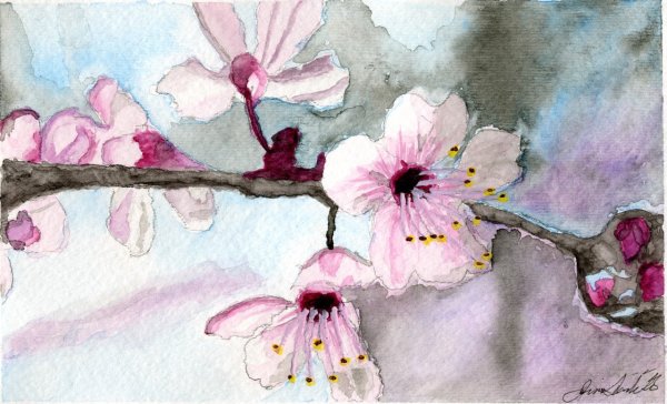 Пейзаж Сакура карандашом