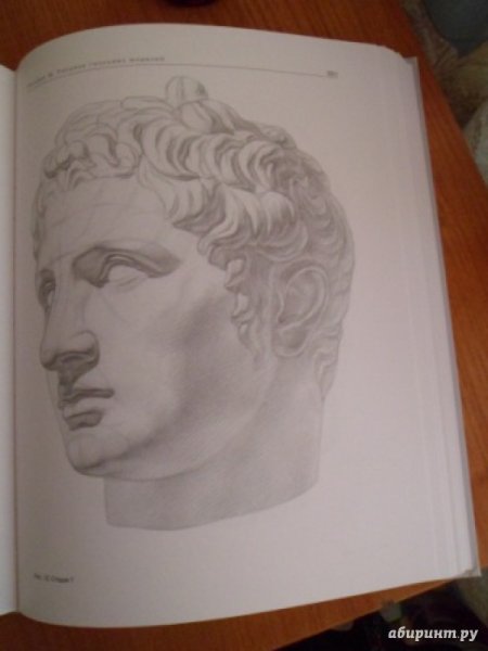 Архитектурный рисунок гипсовой головы Осмоловская