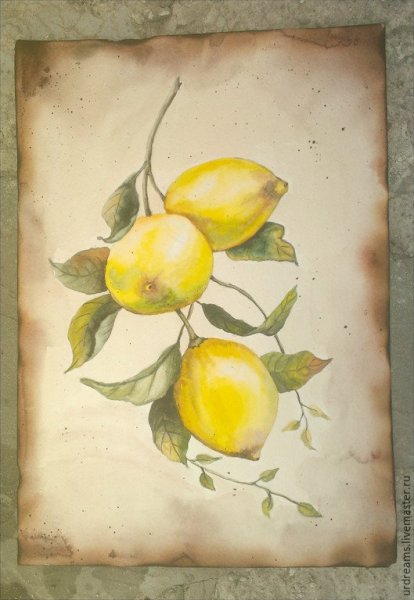 Ветка лимона акварель