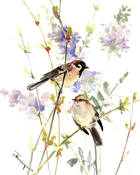 Птичка на цветущей ветке акварелью