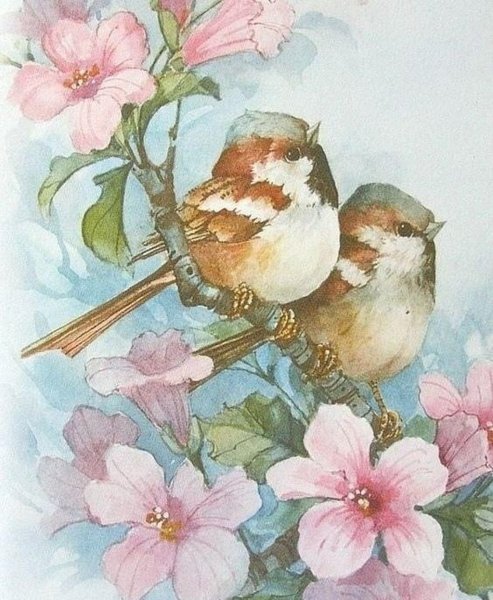 Carolyn Shores Wright. Пташки