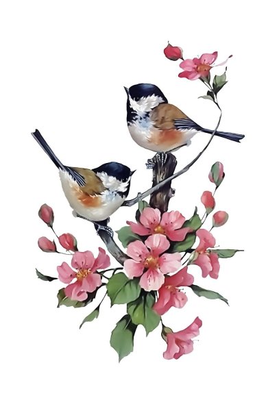 Цветы птицы акварелью