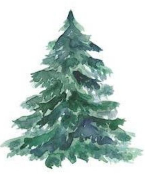 Нарисовать елку красками