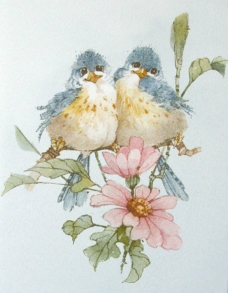 Каролин Шорс Райт