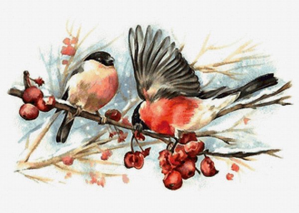 Анна Петунова Снегирь