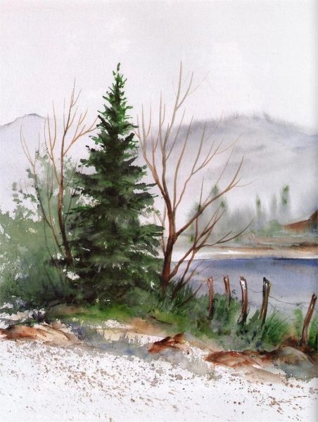 Ель акварелью