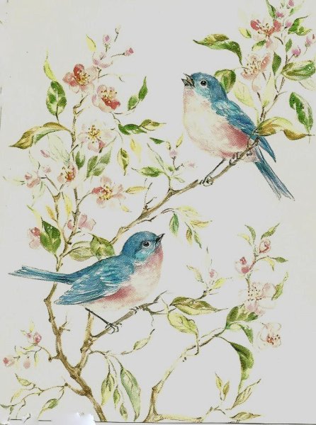 Птицы в прованском стиле