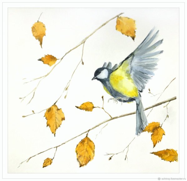 Синица акварелью