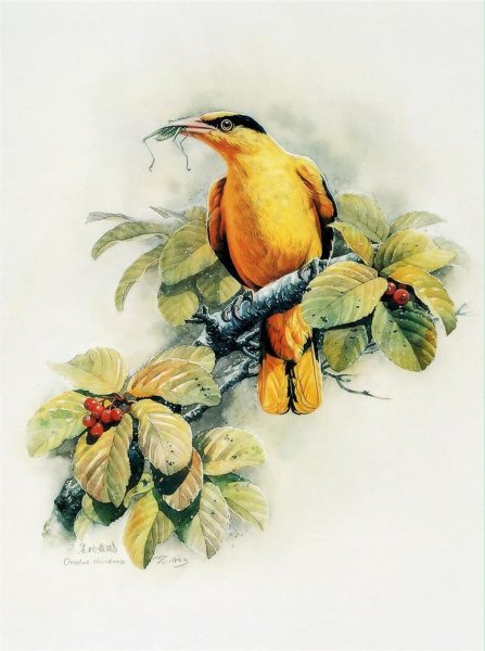 Художник Зенг Ксяо Лянг