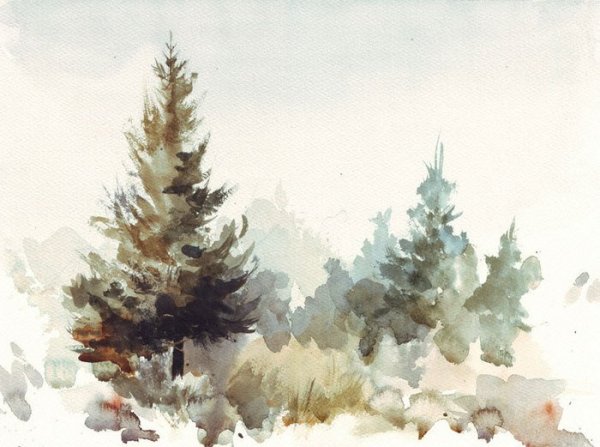 Пейзаж с елками акварелью