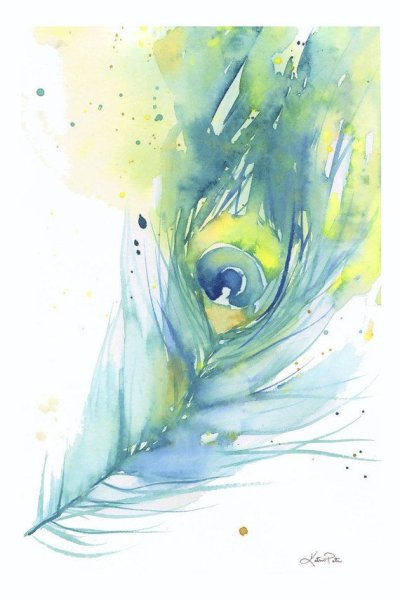 Перо павлина фото рисунок акварель