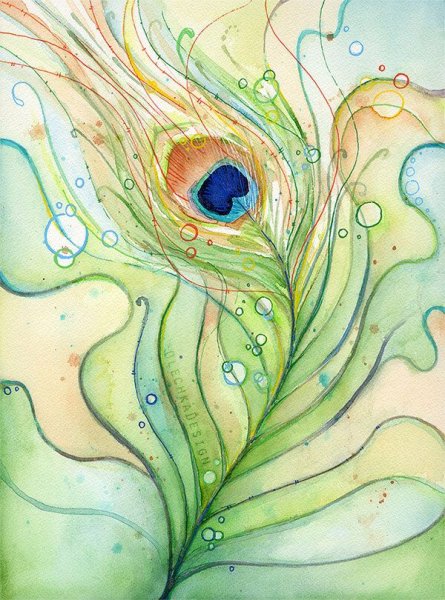 Павлинье перо акварель ДХШ