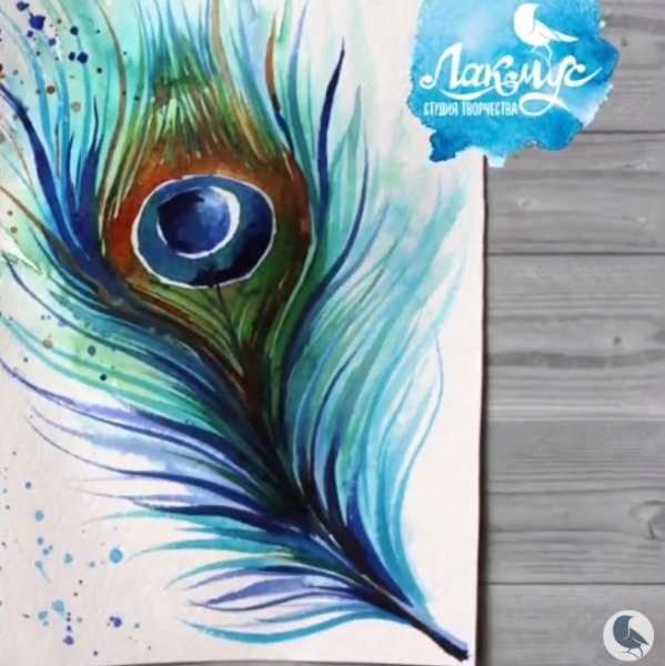 Павлин акварелью