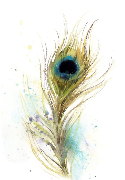 Павлинье перо акварель