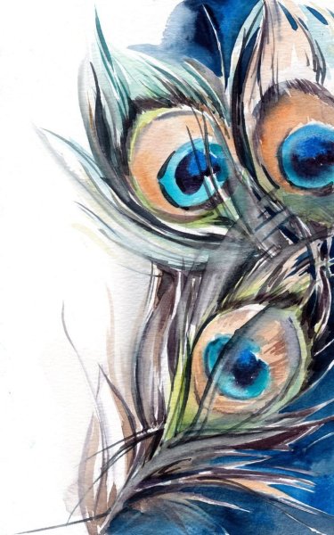 Натюрморт акварелью с павлиньим пером