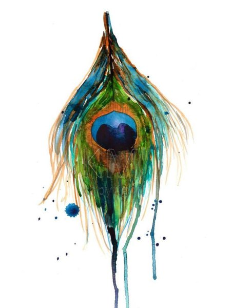 Перо синей птицы