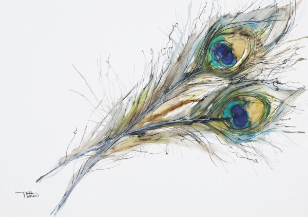 Перо Жар птицы акварель