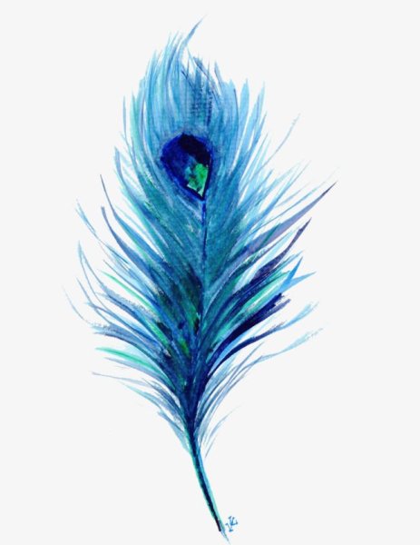 Стилизованное перо павлина