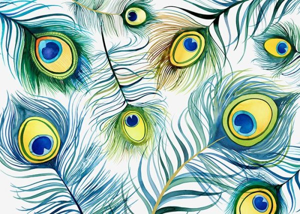 Перо Жар птицы акварель