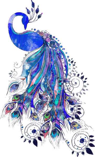 Логотип Павлин NBC