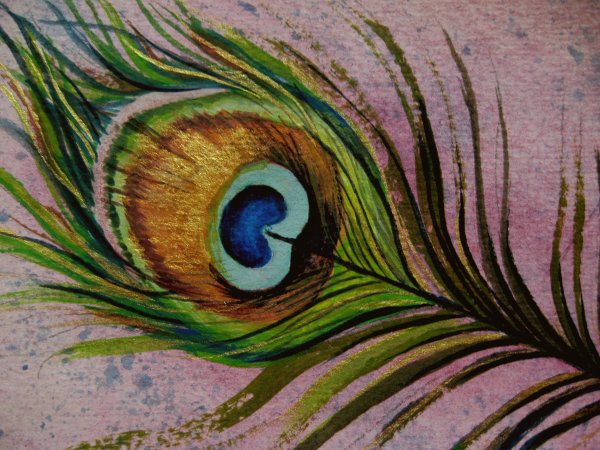 Перо Жар птицы акварель