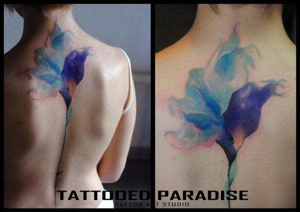 Рисунок акварелью спина