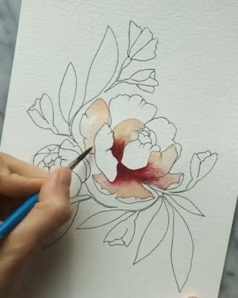 Контурная акварель