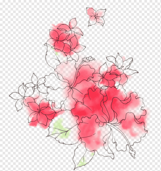 Контур цветка на прозрачном фоне