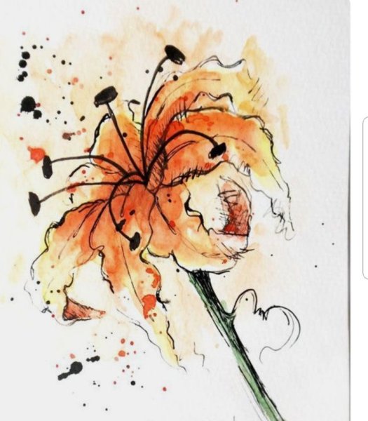 Рисование акварелью и тушью