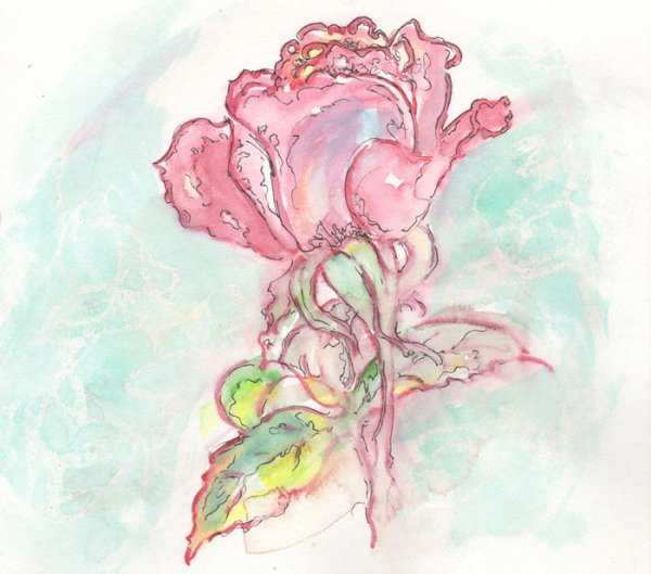 Акварельные цветы с контуром