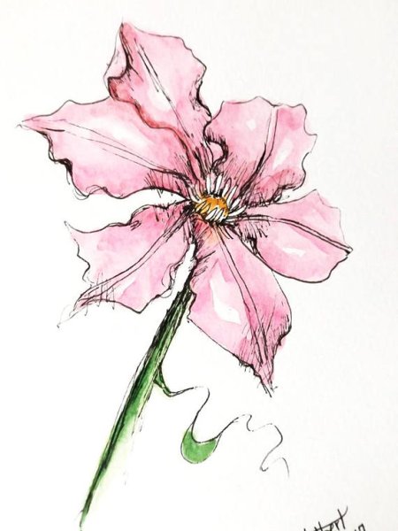 Наброски цветов акварелью