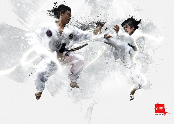 Каратист арт