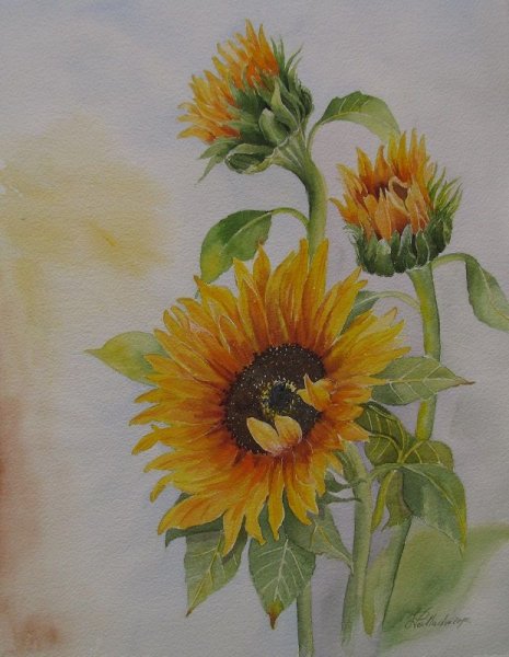 Подсолнух 2 класс рисование акварелью