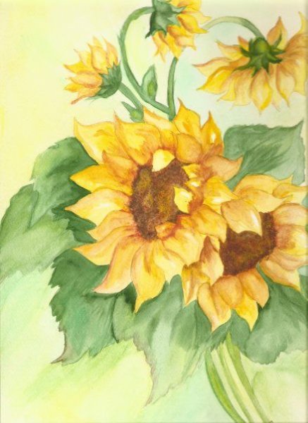 Скетчинг Подсолнухи