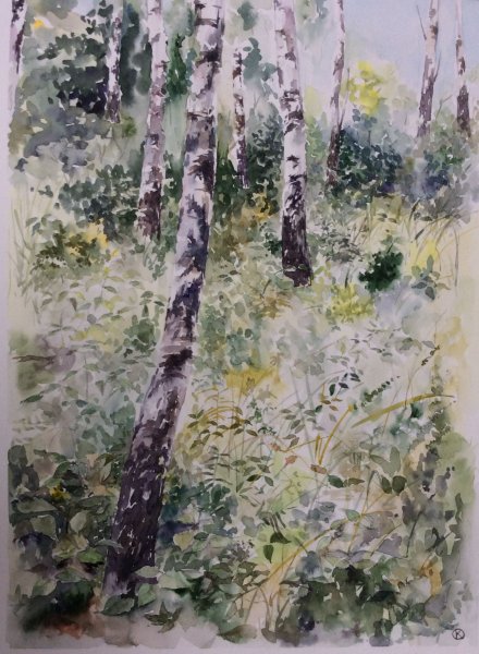 Трушникова березы акварелью
