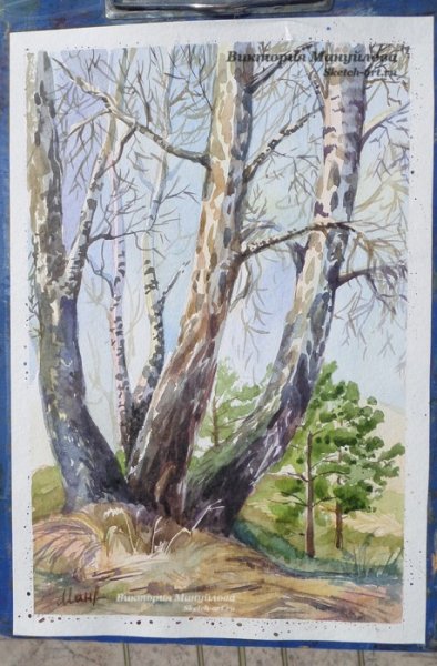 Весенние березы акварелью