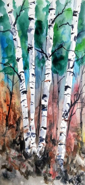 Березка акварель