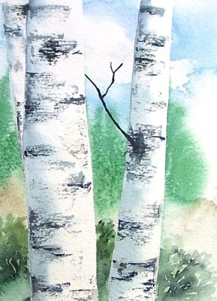 Ствол березы для рисования