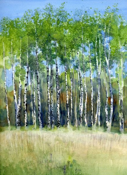 Пейзаж Березовая роща гуашью