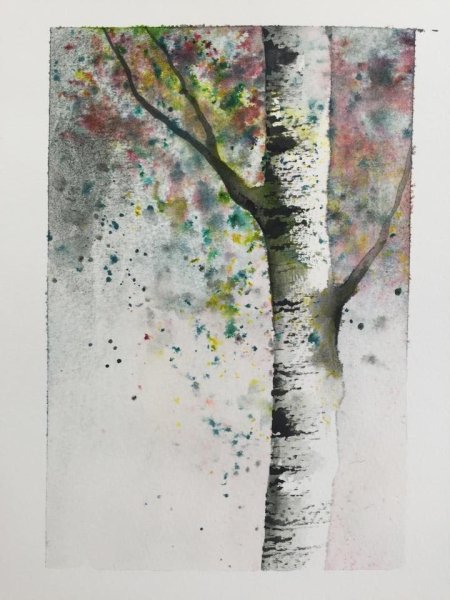 Береза акварелью