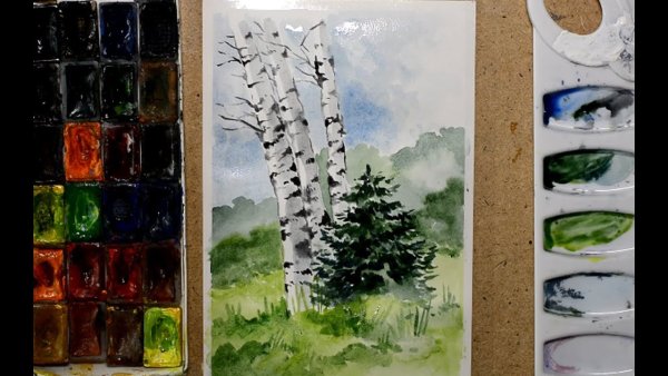 Берёза акварелью поэтапно