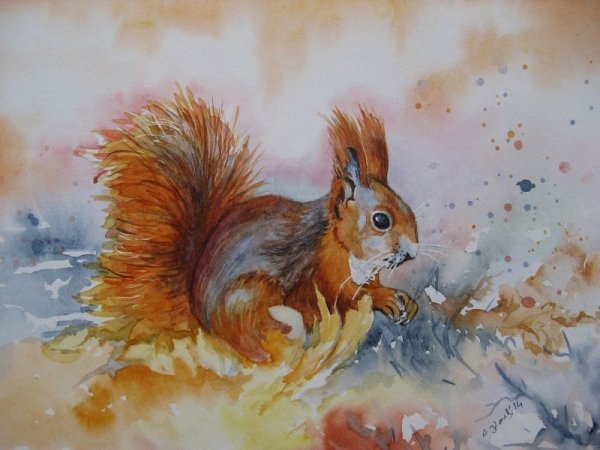 Белка акварелью