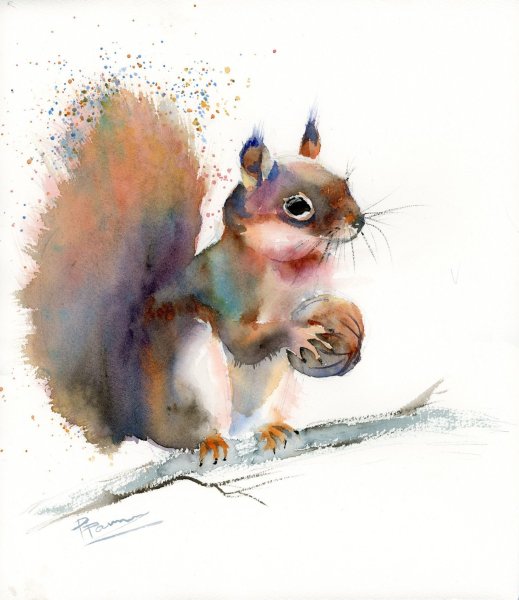 Наброски животных акварелью